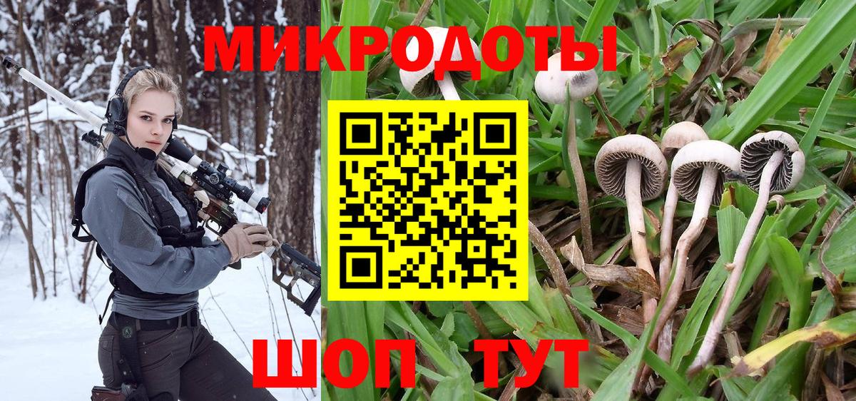 Псилоцибиновые грибы GOLDEN TEACHER Геленджик
